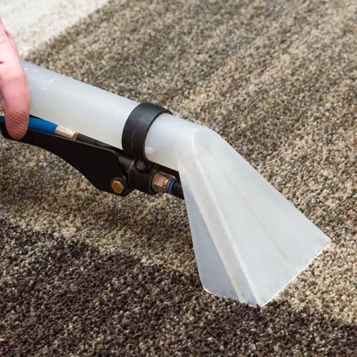 Carpet Cleaning | Kirkland's Flooring